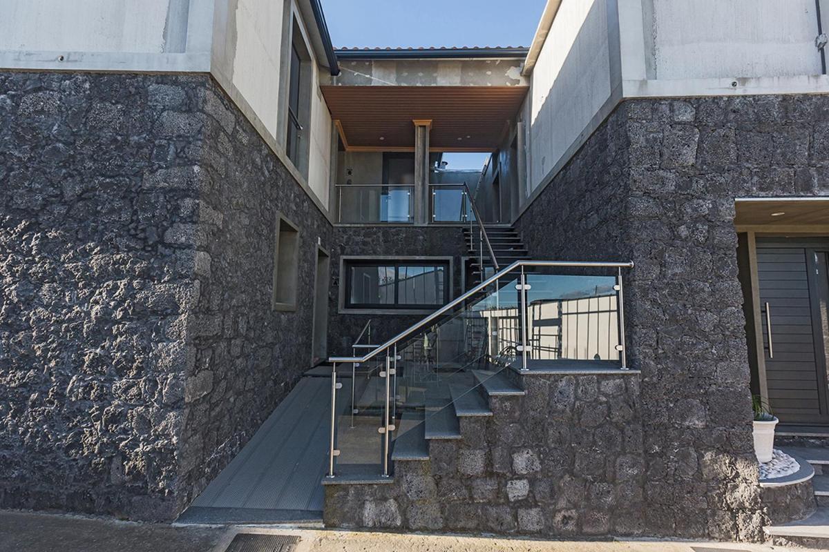 Os Ninhos Dos Avos Daire Ponta Delgada Dış mekan fotoğraf